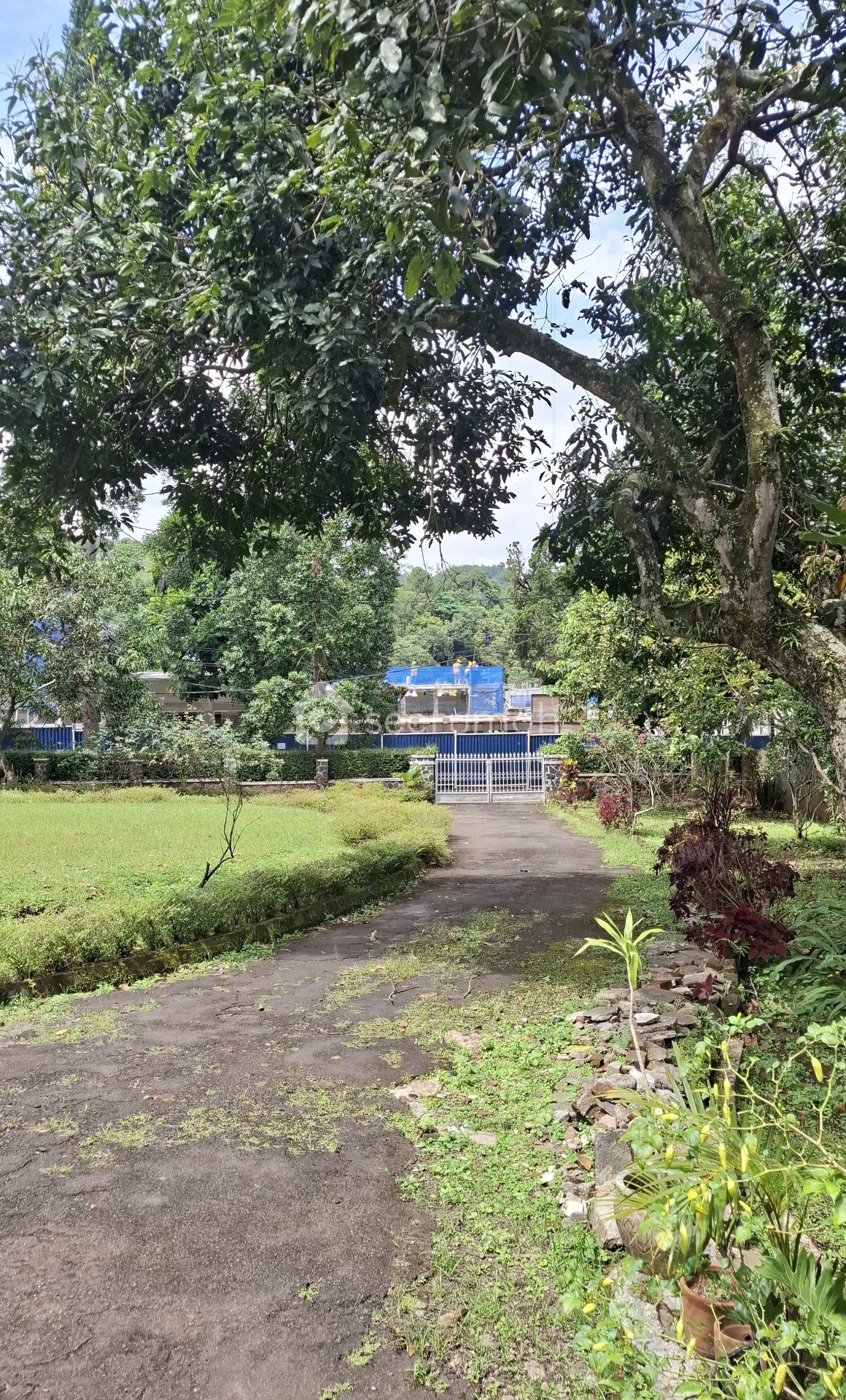 Foto tambahan properti: Rumah Vintage Asri Sejuk Area Bandung Utara - 3 foto lainnya