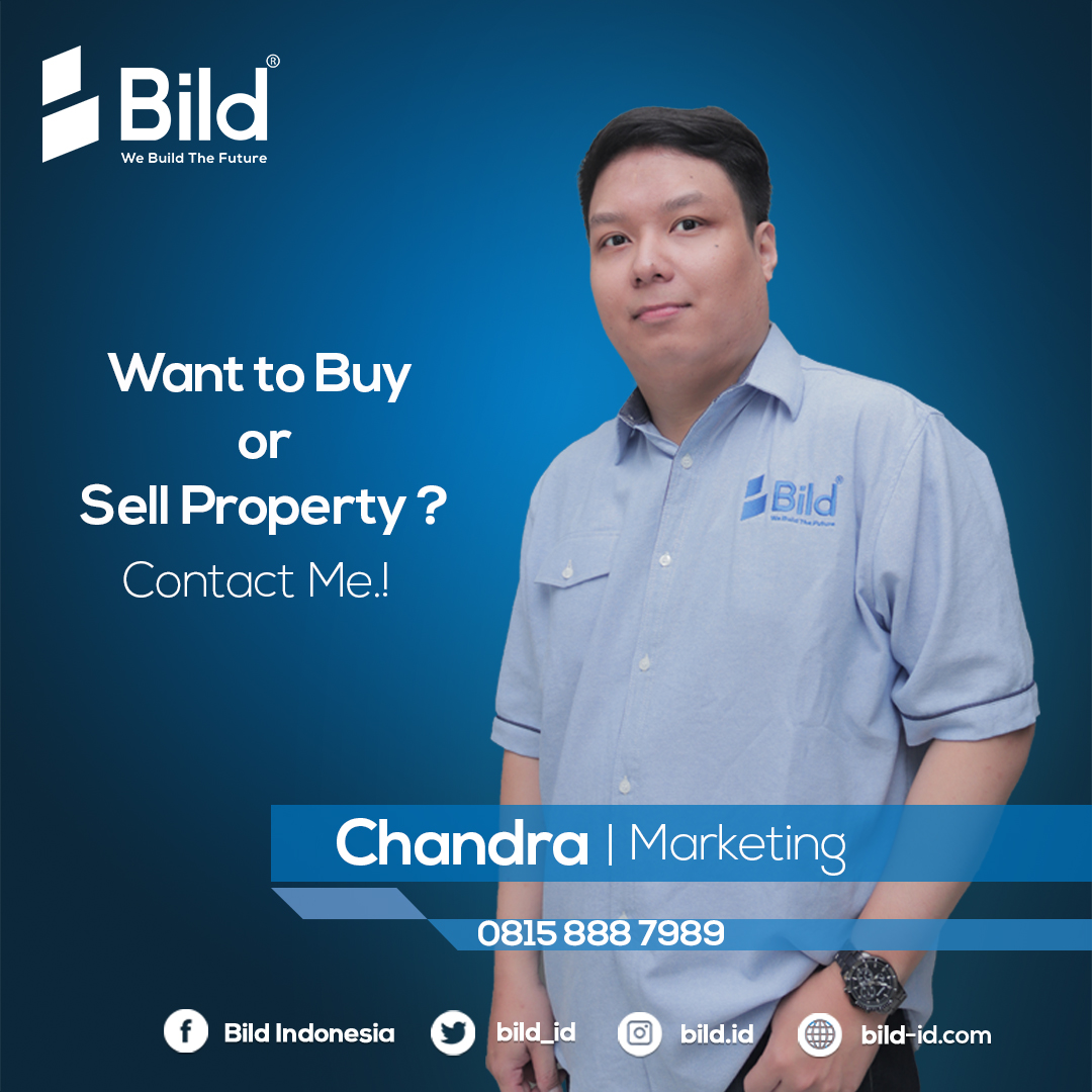 Chandra profil